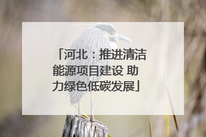 河北：推进清洁能源项目建设 助力绿色低碳发展