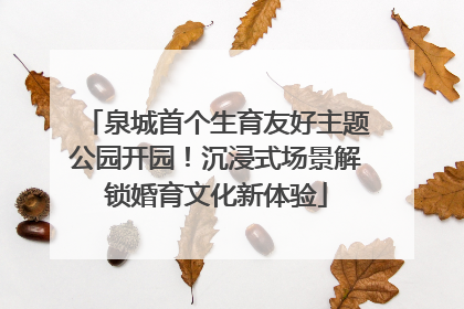 泉城首个生育友好主题公园开园！沉浸式场景解锁婚育文化新体验