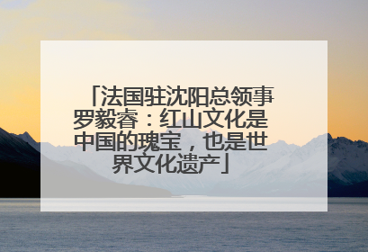 法国驻沈阳总领事罗毅睿：红山文化是中国的瑰宝，也是世界文化遗产