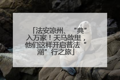 法安凉州、“典”入万家！天马故里，他们这样开启普法“潮”行之旅