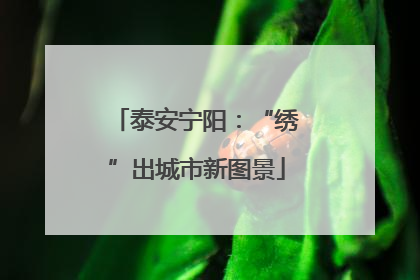 泰安宁阳：“绣”出城市新图景