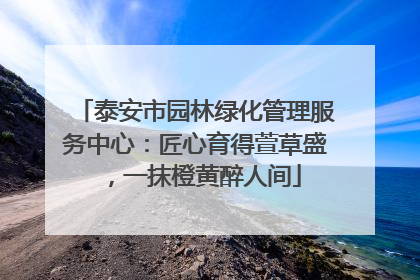 泰安市园林绿化管理服务中心：匠心育得萱草盛，一抹橙黄醉人间