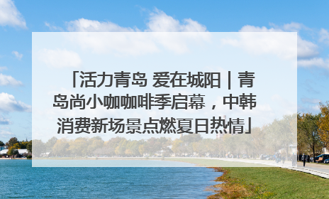 活力青岛 爱在城阳｜青岛尚小咖咖啡季启幕，中韩消费新场景点燃夏日热情