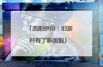 洛阳伊川：旧寨村有了新面貌