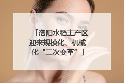 洛阳水稻主产区迎来规模化、机械化“二次变革”