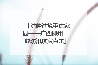 洪峰过境重建家园——广西柳州一线防汛抗灾直击
