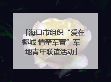 海口市组织“爱在椰城 情牵军营”军地青年联谊活动