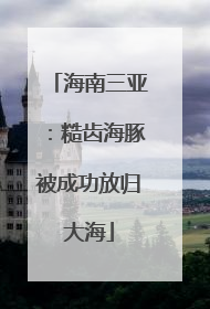 海南三亚：糙齿海豚被成功放归大海