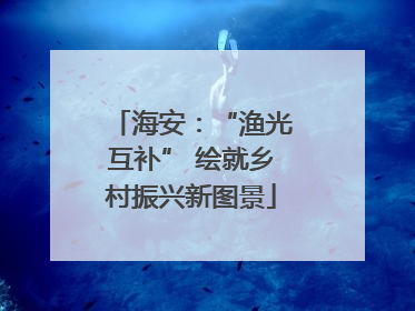 海安：“渔光互补” 绘就乡村振兴新图景
