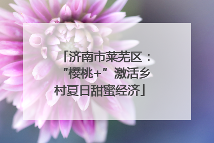 济南市莱芜区：“樱桃+”激活乡村夏日甜蜜经济