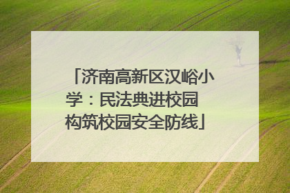济南高新区汉峪小学：民法典进校园 构筑校园安全防线