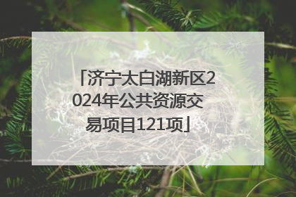 济宁太白湖新区2024年公共资源交易项目121项