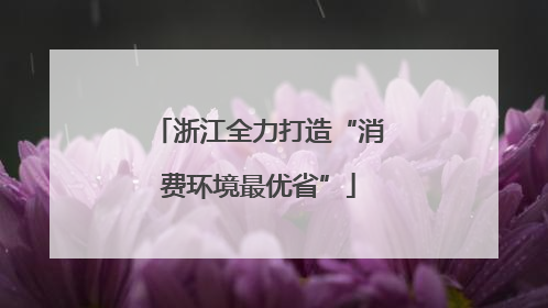 浙江全力打造“消费环境最优省”