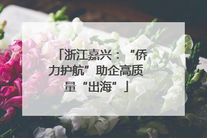 浙江嘉兴：“侨力护航”助企高质量“出海”