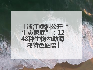 浙江嵊泗公开“生态家底”：1248种生物勾勒海岛特色图景