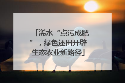浠水“点污成肥”，绿色还田开辟生态农业新路径