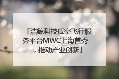 浩鲸科技低空飞行服务平台MWC上海首秀，推动产业创新