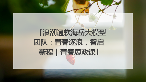 浪潮通软海岳大模型团队：青春逐浪，智启新程｜青春思政课