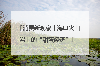 消费新观察丨海口火山岩上的“甜蜜经济”