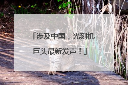 涉及中国，光刻机巨头最新发声！