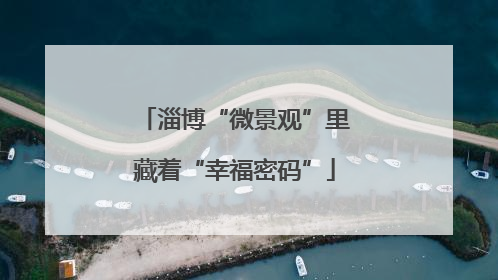 淄博“微景观”里藏着“幸福密码”