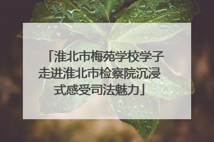 淮北市梅苑学校学子走进淮北市检察院沉浸式感受司法魅力