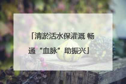 清淤活水保灌溉 畅通“血脉”助振兴