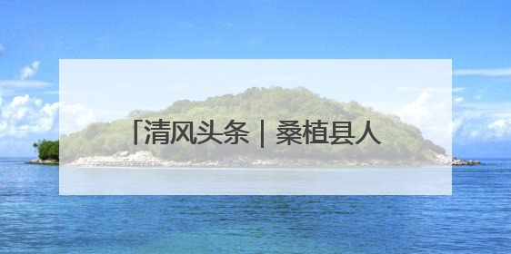 清风头条｜桑植县人潮溪镇：“迟到”5年的生态林补偿金