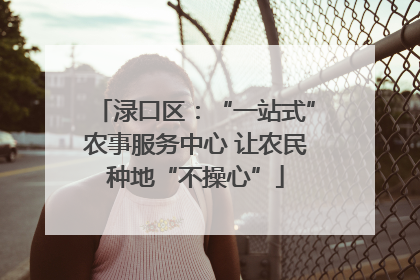 渌口区：“一站式”农事服务中心 让农民种地“不操心”
