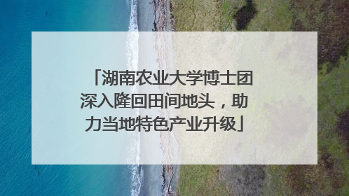 湖南农业大学博士团深入隆回田间地头，助力当地特色产业升级