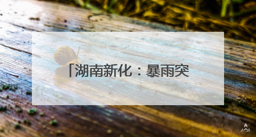 湖南新化：暴雨突袭 多部门连夜清障排涝保高考路畅