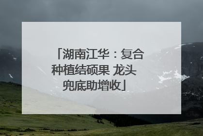 湖南江华：复合种植结硕果 龙头兜底助增收