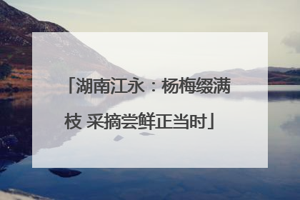 湖南江永：杨梅缀满枝 采摘尝鲜正当时