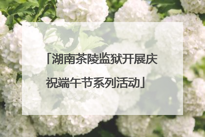 湖南茶陵监狱开展庆祝端午节系列活动