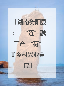 湖南衡阳县：一“莲”融三产 “荷”美乡村兴业富民