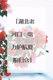 湖北老河口：电力护航夏粮归仓