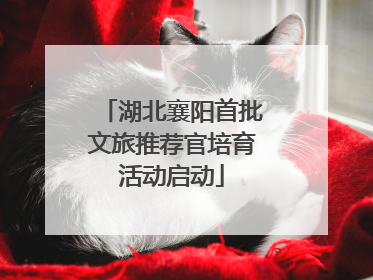 湖北襄阳首批文旅推荐官培育活动启动