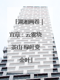 湖湘画卷｜宜章：云雾绕茶山 绿叶变金叶