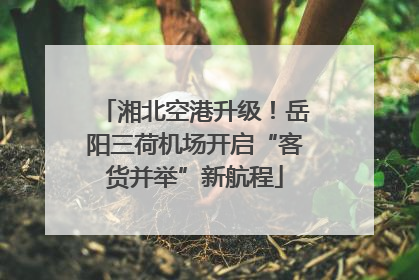 湘北空港升级！岳阳三荷机场开启“客货并举”新航程