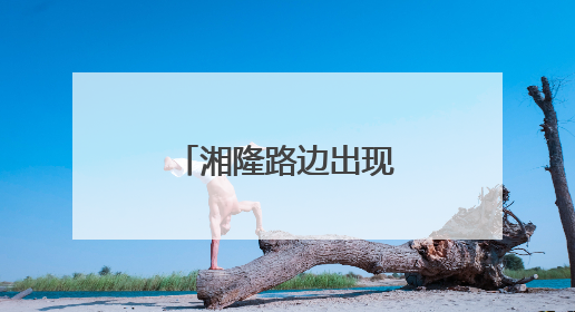湘隆路边出现一颗心：居民窗前的浪漫新景
