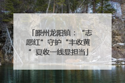 滕州龙阳镇：“志愿红”守护“丰收黄”夏收一线显担当