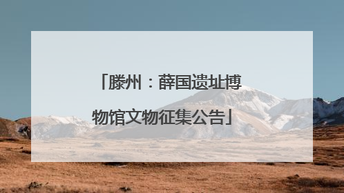 滕州：薛国遗址博物馆文物征集公告
