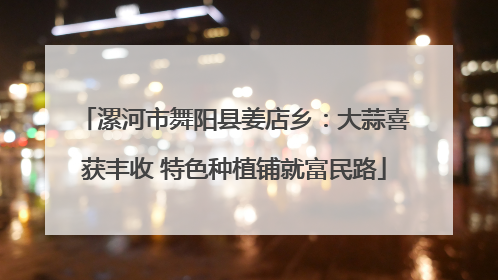 漯河市舞阳县姜店乡：大蒜喜获丰收 特色种植铺就富民路