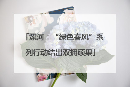 漯河：“绿色春风”系列行动结出双拥硕果