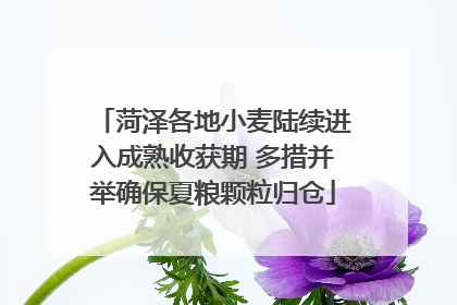 菏泽各地小麦陆续进入成熟收获期 多措并举确保夏粮颗粒归仓