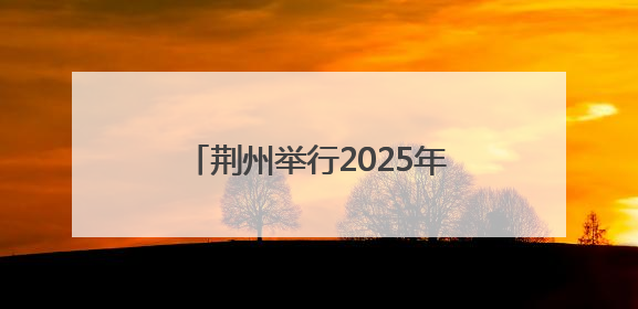 荆州举行2025年安全生产月启动仪式暨安全宣传咨询日活动