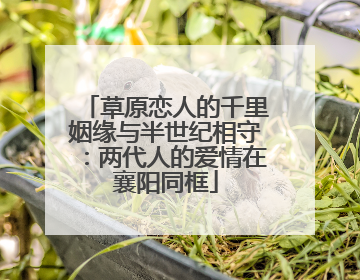草原恋人的千里姻缘与半世纪相守：两代人的爱情在襄阳同框