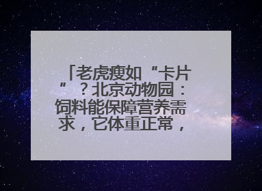 老虎瘦如“卡片”？北京动物园：饲料能保障营养需求，它体重正常，放心吧