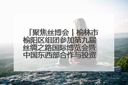 聚焦丝博会丨榆林市榆阳区组团参加第九届丝绸之路国际博览会暨中国东西部合作与投资贸易洽谈会