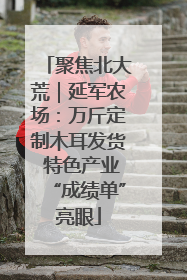 聚焦北大荒｜延军农场：万斤定制木耳发货 特色产业“成绩单”亮眼